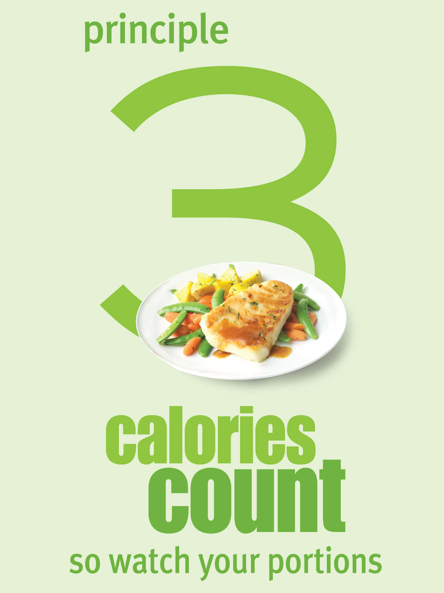 Principle 3 calories count