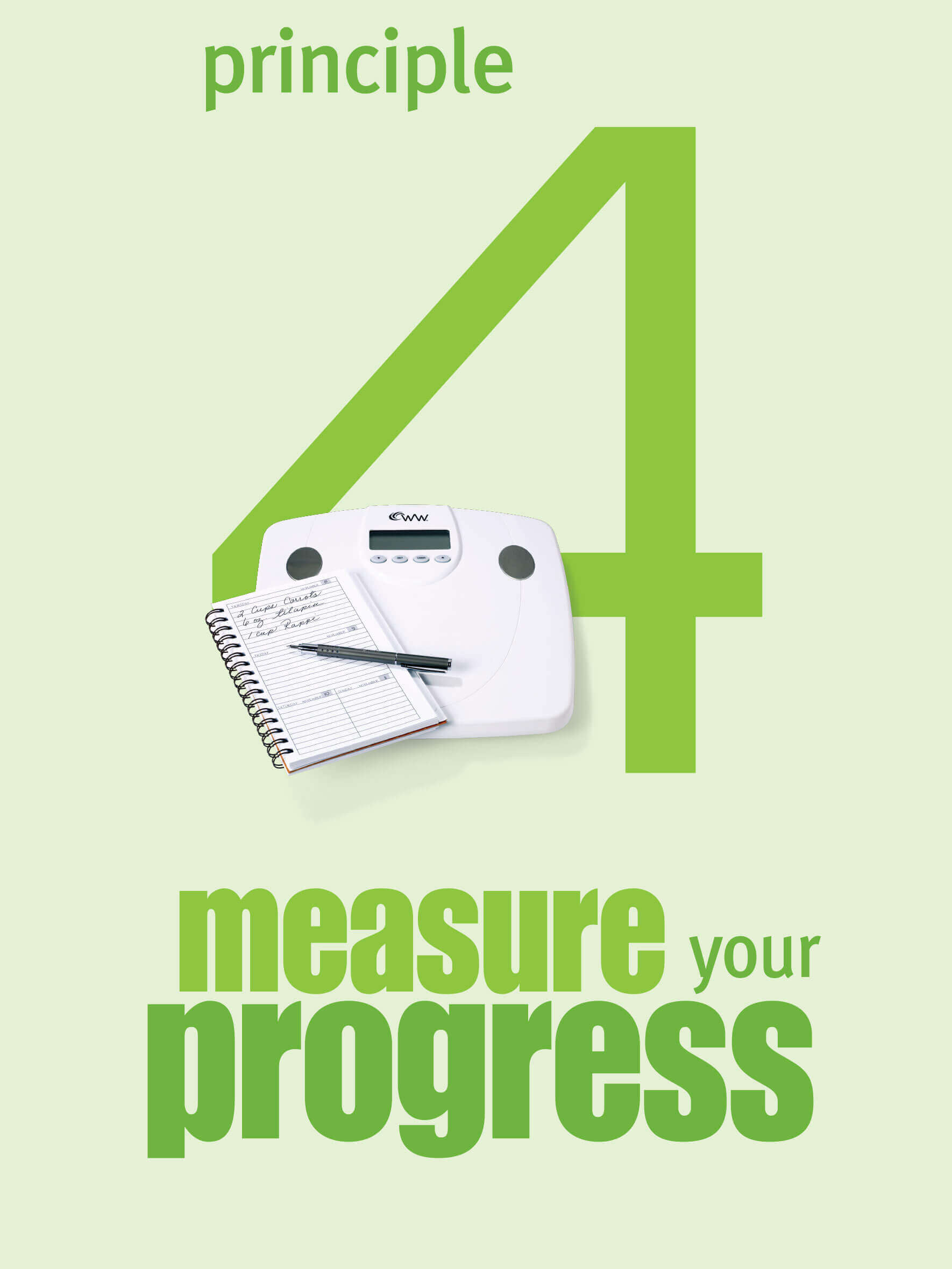 Principle 4 measure your progress