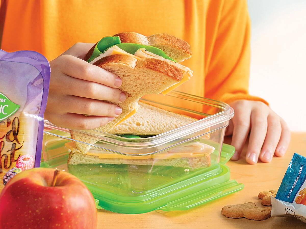 back to school lunch idea - turkey sandwich