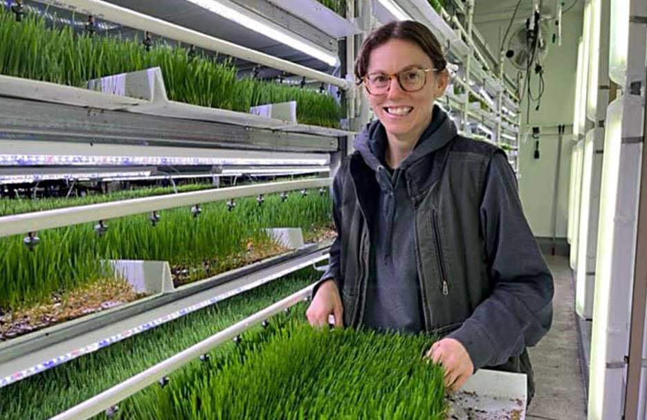 Taylor Wingerden with organic farm wheatgrass beds