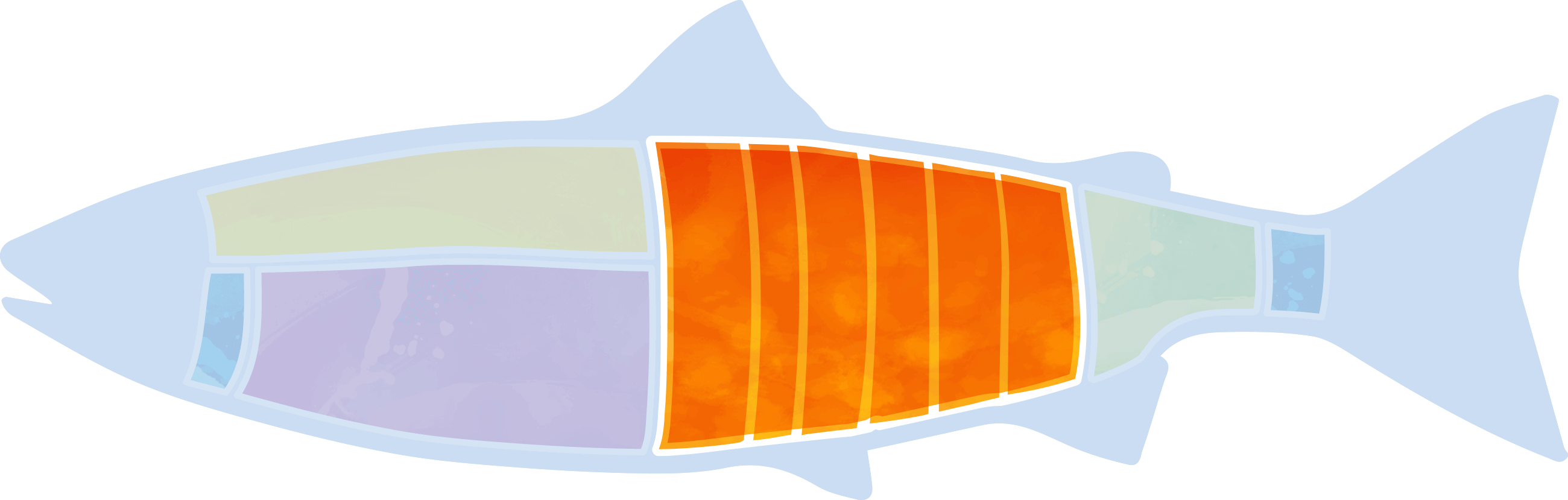 Salmon fillet cut